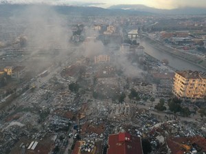 Heboh Tingkah Aneh Burung hingga Anjing Sebelum Gempa Turki