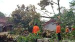Dahsyatnya Angin Puting Beliung di Ciamis Sebabkan 33 Rumah Rusak