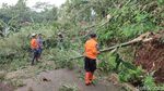 Dahsyatnya Angin Puting Beliung di Ciamis Sebabkan 33 Rumah Rusak