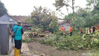 Petugas bersama warga mulai membersihkan puing-puing pohon hingga rumah yang rusak diterjang angin puting beliung (Foto: Dadang Hermansyah/detikJabar).