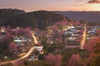 Sony World Photography Awards 2023
