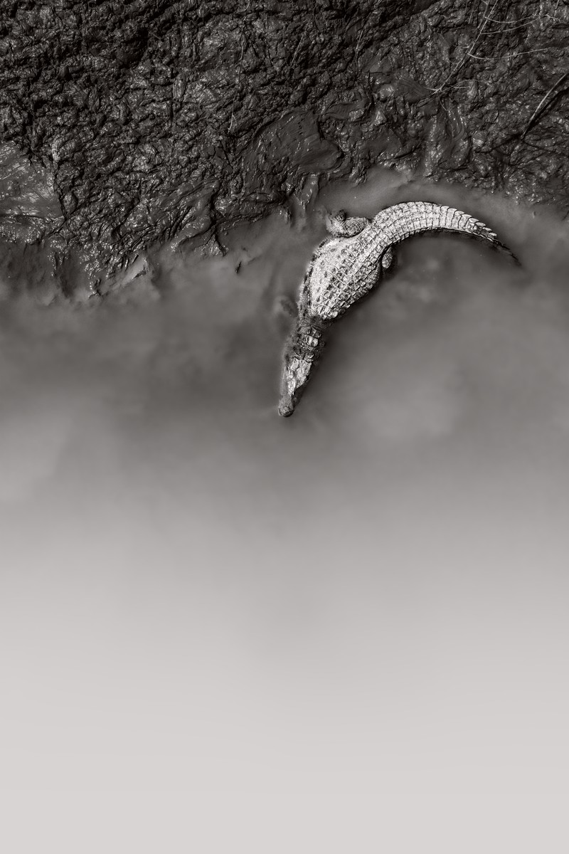 Sony World Photography Awards 2023