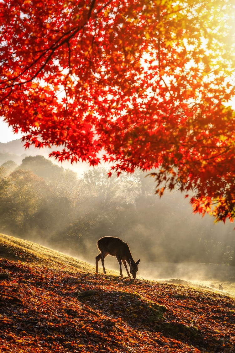 Sony World Photography Awards 2023 Sony World Photography Awards 2023