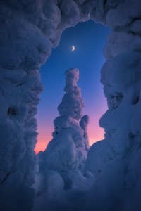Sony World Photography Awards 2023