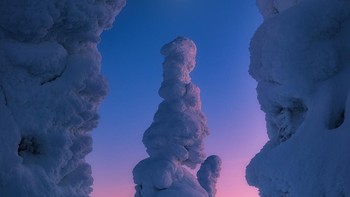 Karya Lapland dari Kroasia. Bulan terbit di Lapland, Finlandia. Foto: The World Photography Organisation