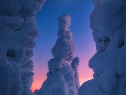 Karya Memukau National Award Kontes Foto Sony, Ada dari Indonesia
