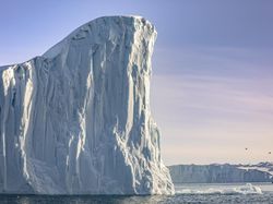 Karya Memukau National Award Kontes Foto Sony, Ada dari Indonesia