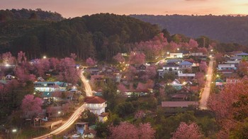 Karya Saravut Vanset dari Thailand. Setiap tahun antara November dan Februari, pohon sakura liar mekar di sekitar desa Ban Rong Kla di Thailand. Dalam perjalanan ke desa Anda harus melewati Taman Nasional Phu Hin Rong Kla, yang merupakan benteng utama komunis dalam konflik berkepanjangan antara Angkatan Bersenjata Kerajaan negara itu dan Partai Komunis Thailand (sekarang sudah tidak berfungsi). Foto: The World Photography Organisation