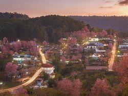 Karya Memukau National Award Kontes Foto Sony, Ada dari Indonesia