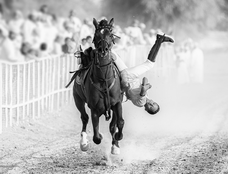Sony World Photography Awards 2023 Sony World Photography Awards 2023