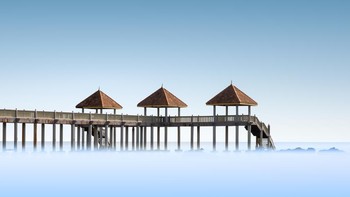 Foto: The World Photography Organisation