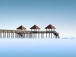 Karya Memukau National Award Kontes Foto Sony, Ada dari Indonesia