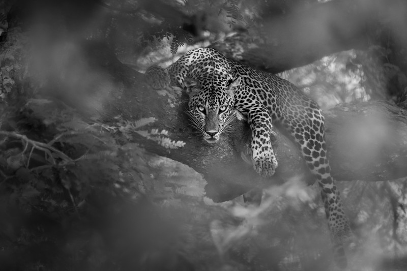 Sony World Photography Awards 2023