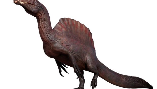 Spinosaurus