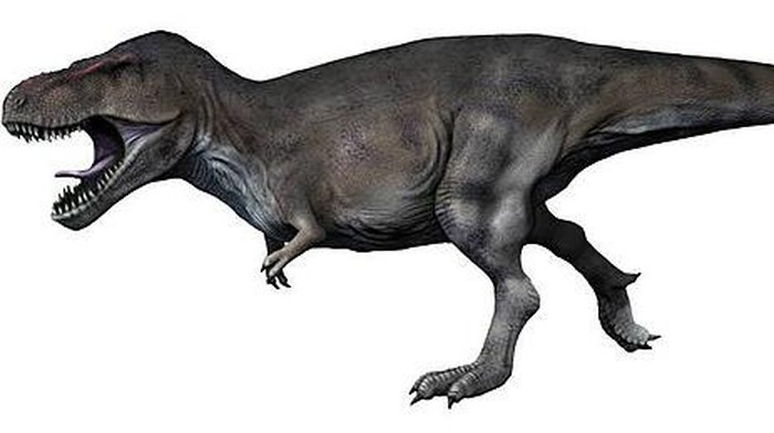 Tyrannosaurus Rex (T-Rex)