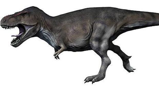 Tyrannosaurus Rex (T-Rex)