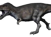 Dinosaurus Predator Puncak Bukan T-rex, Tapi Kerabatnya yang Seukuran Bus Tingkat