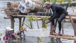 Aksi Tanam Mangrove untuk Jaga Keseimbangan Alam