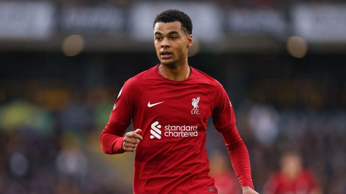 WOLVERHAMPTON, ENGLAND - FEBRUARY 04:  Cody Gakpo of Liverpool during the Premier League match between Wolverhampton Wanderers and Liverpool FC at Molineux on February 4, 2023 in Wolverhampton, United Kingdom. (Photo by Marc Atkins/Getty Images)