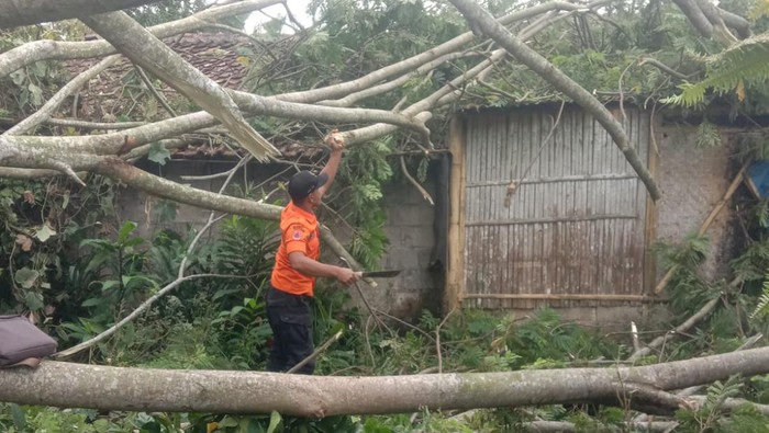 Hujan deras dan angin kencang memicu kejadian bencana di 35 titik di Kota dan Kabupaten Bogor. Dua orang dilaporkan terluka dan puluhan bangunan rusak. (dok BPBD Kabupaten Bogor)