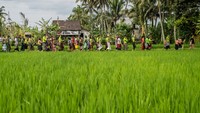 Maka dari itu, penduduk desa percaya bahwa tidak boleh menghalangi anak mereka jika ingin menjadi pengayah atau peserta.  