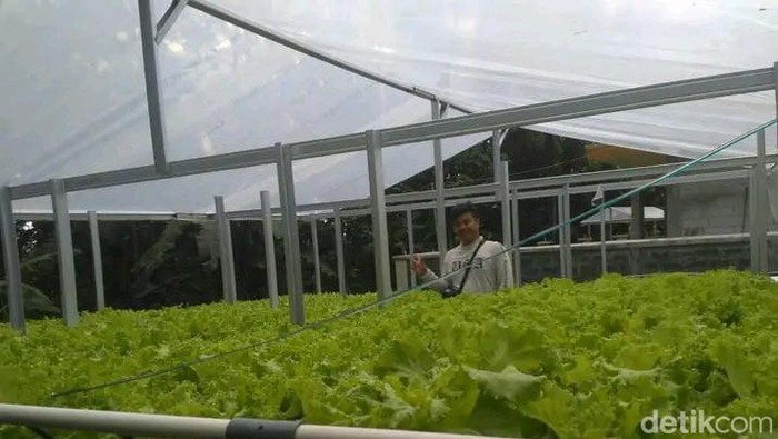 Ketua Petani Milenial Kota Tasikmalaya batch 4, Sandra Mulyana.