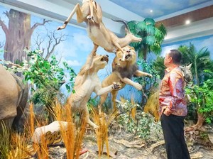 Koleksi Museum Satwa Dunia di Medan Bikin Bamsoet Terkesima