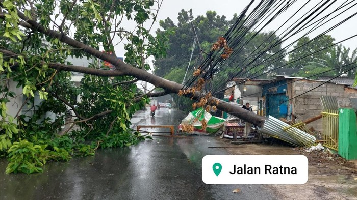 Pohon di Jl Ratna Bekasi tumbang (BPBD Kota Bekasi)