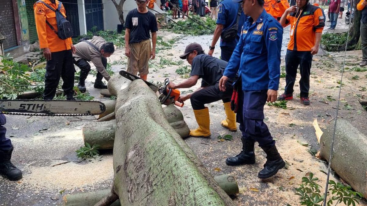 Pohon-Papan Reklame di Tangsel Roboh Imbas Hujan dan Angin Kencang