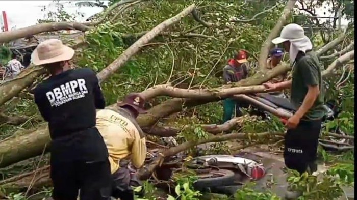 Pohon Tumbang Timpa Dua Pemotor di Jonggol Bogor, Korban Luka-luka