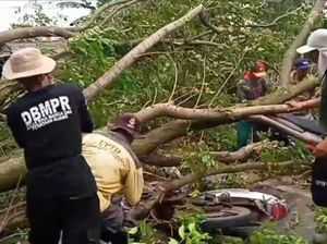 Pohon Tumbang Timpa Dua Pemotor di Jonggol Bogor, Korban Luka-luka