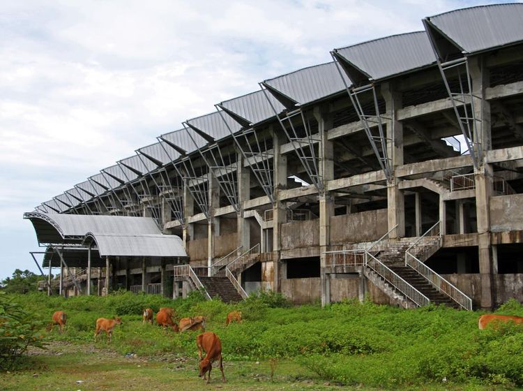 Potret Mangkraknya Proyek Stadion Barombong, Diisi Sapi