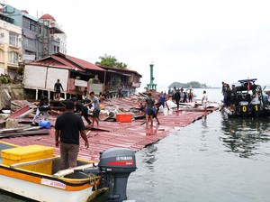 Fakta-fakta Gempa M 5,4 di Jayapura Dipicu Sesar Aktif-Tewaskan 4 Orang