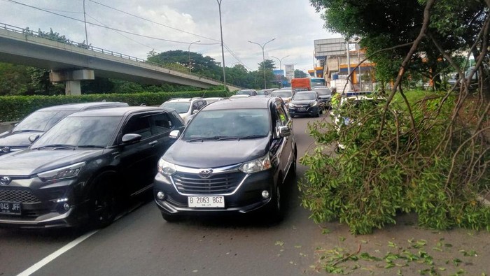 Ranting pohon tumbang hambat lalu litas di GT Kebon Jeruk arah Tomang