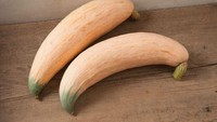 Punya ciri khas yang unik, labu ini bernama Candy Roaster Squash karena rasanya yang manis dan aroma harum mirip permen. Dahulu sayuran ini banyak ditemukan di Carolina Utara, tetapi kini jumlah tanamannya semakin sedikit. Foto: Dexerto