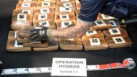 Pelaksana Tugas (Plt) Pengawas Layanan Bea Cukai Selandia Baru, Bill Perry, mengungkapkan bahwa kokain seberat 3,2 ton yang disita itu ditaksir memiliki nilai pasaran hingga NZ$ 500 juta atau setara Rp 4,7 triliun.
