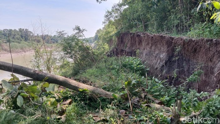 Tanggul Sungai Cimanuk Indramayu yang ambles hingga 5 meter.