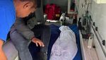 Terkini! Foto-foto Evakuasi Korban Gempa M 5,4 di Jayapura