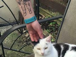 10 Tato yang Dieksekusi dengan Super Keren, Mana Favoritmu?