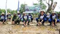Direksi Yayasan KEHATI Wawan Ridwan - Vice President Director  PT Asahimas Chemical Eddy Sutanto - Anggota KOMPILASI Mashud saat simbolis penanaman manggrove. Simbolis penanaman juga dihadiri perwakilan Dinas Kelautan dan Perikanan Pemerintah Provinsi Banten, Pemerintah Kabupaten Pandeglang, Universitas Ageng Tirtayasa, mitra lokal KOMPILASI, dan kelompok masyarakat setempat.   