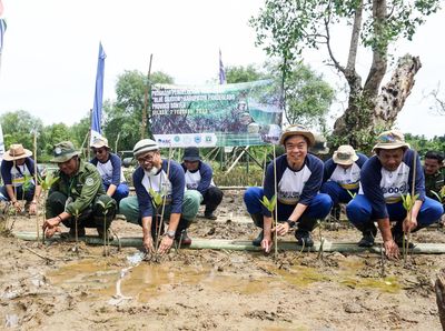 Aksi KEHATI Tanam 30.000 Bibit Mangrove Demi Kelestarian Alam