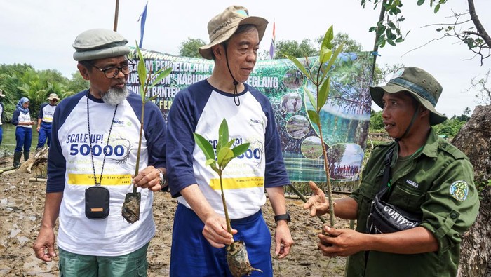 Aksi KEHATI Tanam 30.000 Bibit Mangrove Demi Kelestarian Alam Aksi KEHATI Tanam 30.000 Bibit Mangrove Demi Kelestarian Alam