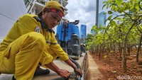 Kotoran yang disedot akan dibuang di saluran got terdekat.
