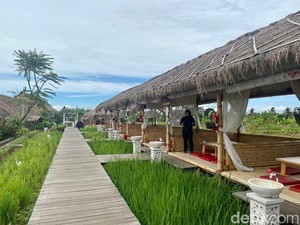 Bisa Healing dan Kulineran di Saung dengan Pemandangan Sawah dan Gunung