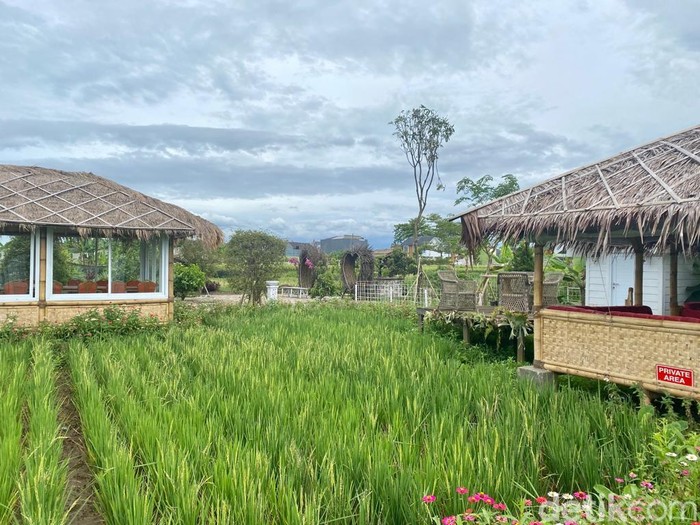 D'Sawah Resto, Cafe dan Rekreasi