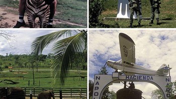  Pada awal 1980-an, gembong narkoba terkenal Pablo Escobar menciptakan kebun binatang keluarga yang penuh dengan hewan eksotis di Kolombia, termasuk badak, jerapah, zebra, dan kuda nil. Ketika kerajaan Escobar runtuh pada tahun 90-an, hewan-hewan dipindahkan ke kebun binatang - kecuali empat kuda nil, yang sekarang dianggap sebagai spesies invasif yang limbahnya merusak ekosistem perairan Kolombia. Lakukan apa yang Anda inginkan dengan informasi itu. Foto: Instagram/historyinpictures