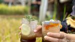 Makan di Restoran Ini Seperti di Rumah Nenek dengan Pemandangan Sawah