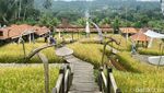 Makan di Restoran Ini Seperti di Rumah Nenek dengan Pemandangan Sawah