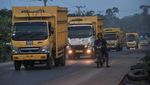 Jumlah Truk Pengangkut Batu Bara yang Melintas di Jambi Akan Dibatasi