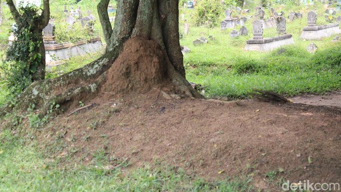 Petilasan Sunan Pojok yang ada di Blora.